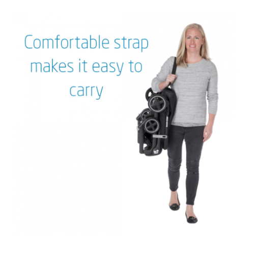 dog stroller large Beberoad R8 Large pet stroller | Foldable | Conveniently Carriable by Bike and Car main image 1
